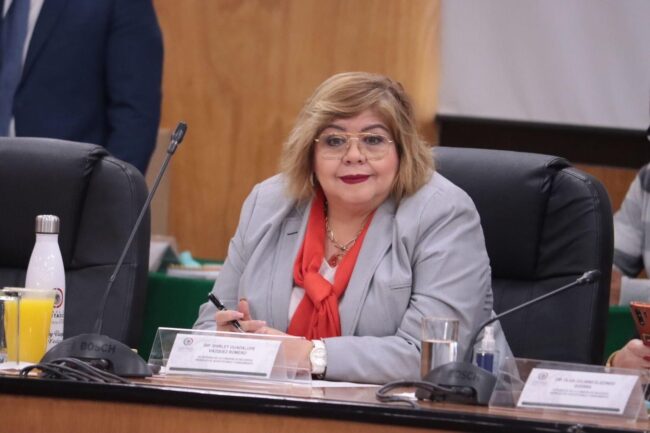 Agradece diputada Vázquez Romero apoyo a comunidades indígenas Agradece diputada Vázquez Romero apoyo a comunidades indígenas