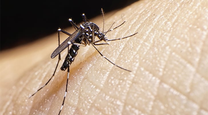 Álamos alcanza los 57 casos de dengue