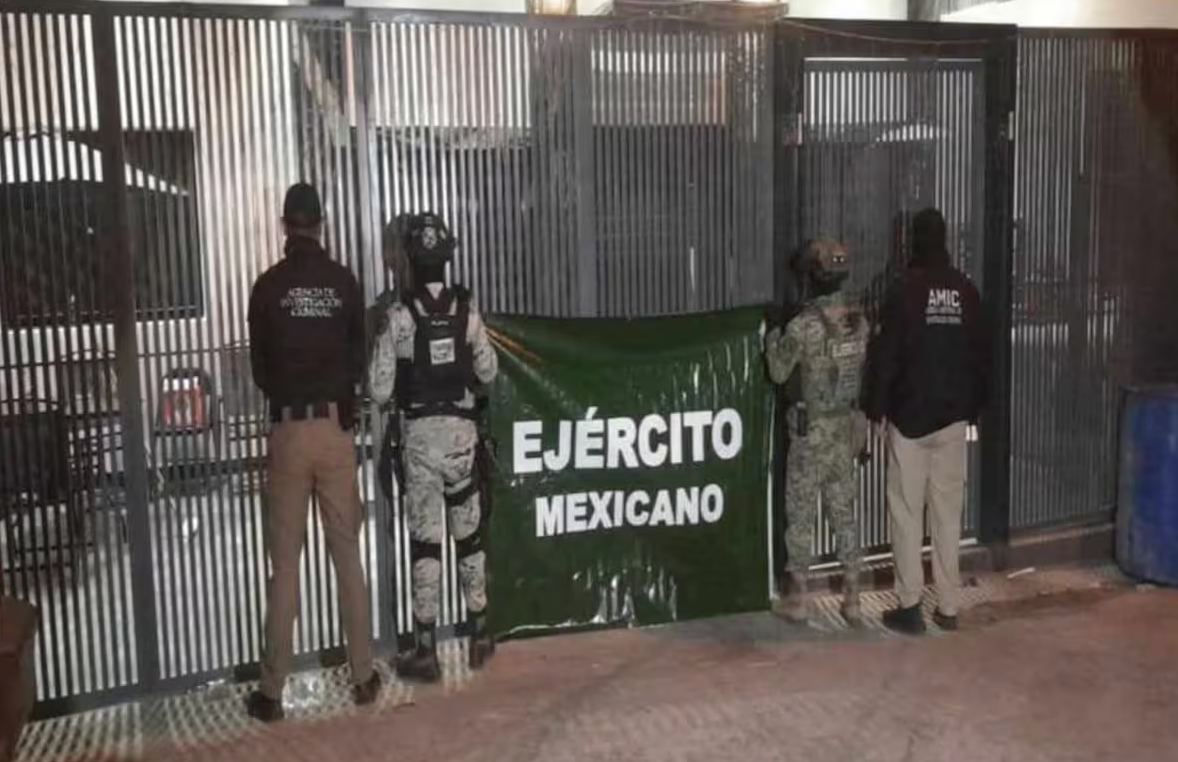 Aseguran tigre de bengala, armas y drogas en cateo en Nogales