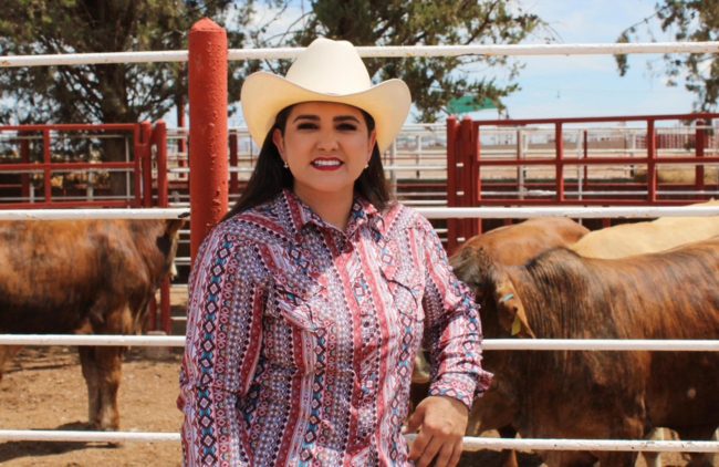 ESTAS LÍNEAS | Festejo anticipado: nos volvieron a cerrar la exportación de ganado ESTAS LÍNEAS | Festejo anticipado: nos volvieron a cerrar la exportación de ganado