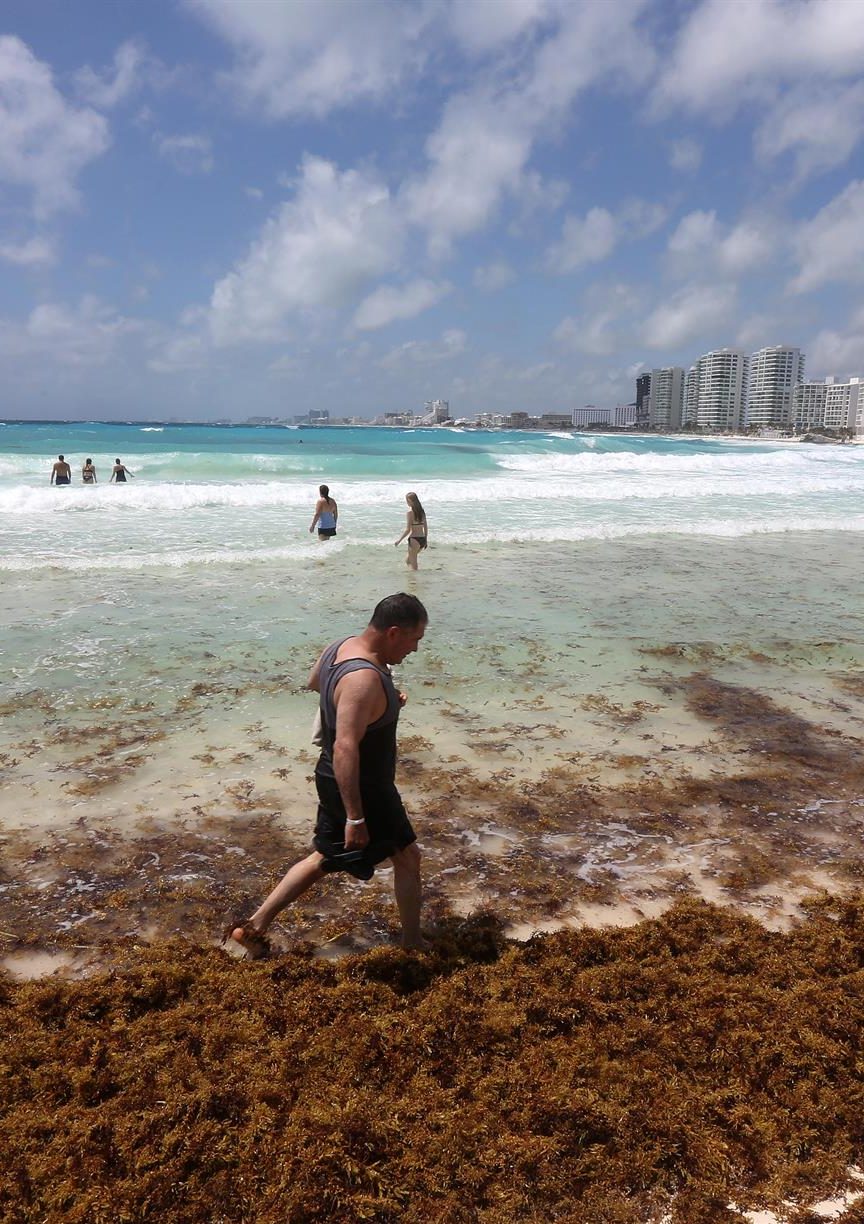 SONORA STAR | Explorando Soluciones Sostenibles al Sargazo que Amenaza al Turismo de la Riviera Maya
