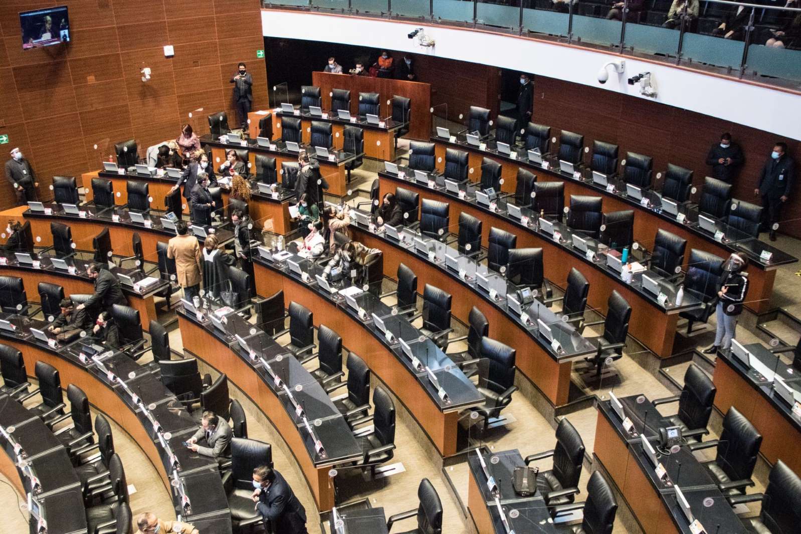 Morena propone quitar el requisito de “ser mexicano de nacimiento” para ser legislador Morena propone quitar el requisito de “ser mexicano de nacimiento” para ser legislador