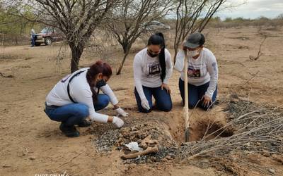 Madres Buscadoras de Sonora: a dos años del inicio del peregrinar Madres Buscadoras de Sonora: a dos años del inicio del peregrinar