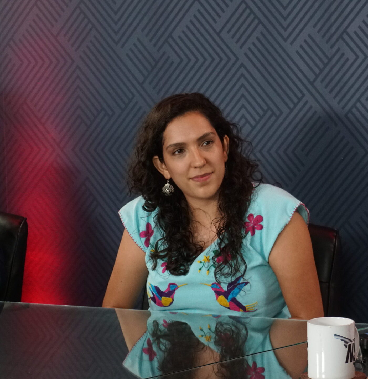 Desde el Congreso defenderemos el gobierno de Durazo: Celeste Taddei Desde el Congreso defenderemos el gobierno de Durazo: Celeste Taddei