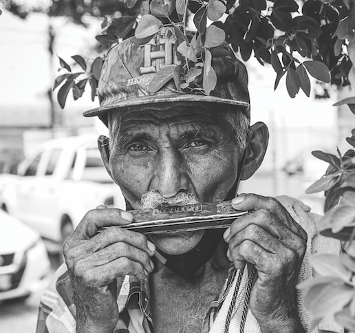 El Hombre del árbol El Hombre del árbol