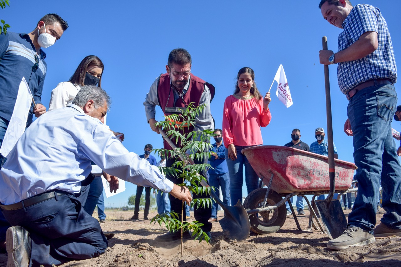 Inicia Programa de Reforestación en Unidad Deportiva “Faustino Félix Serna”.