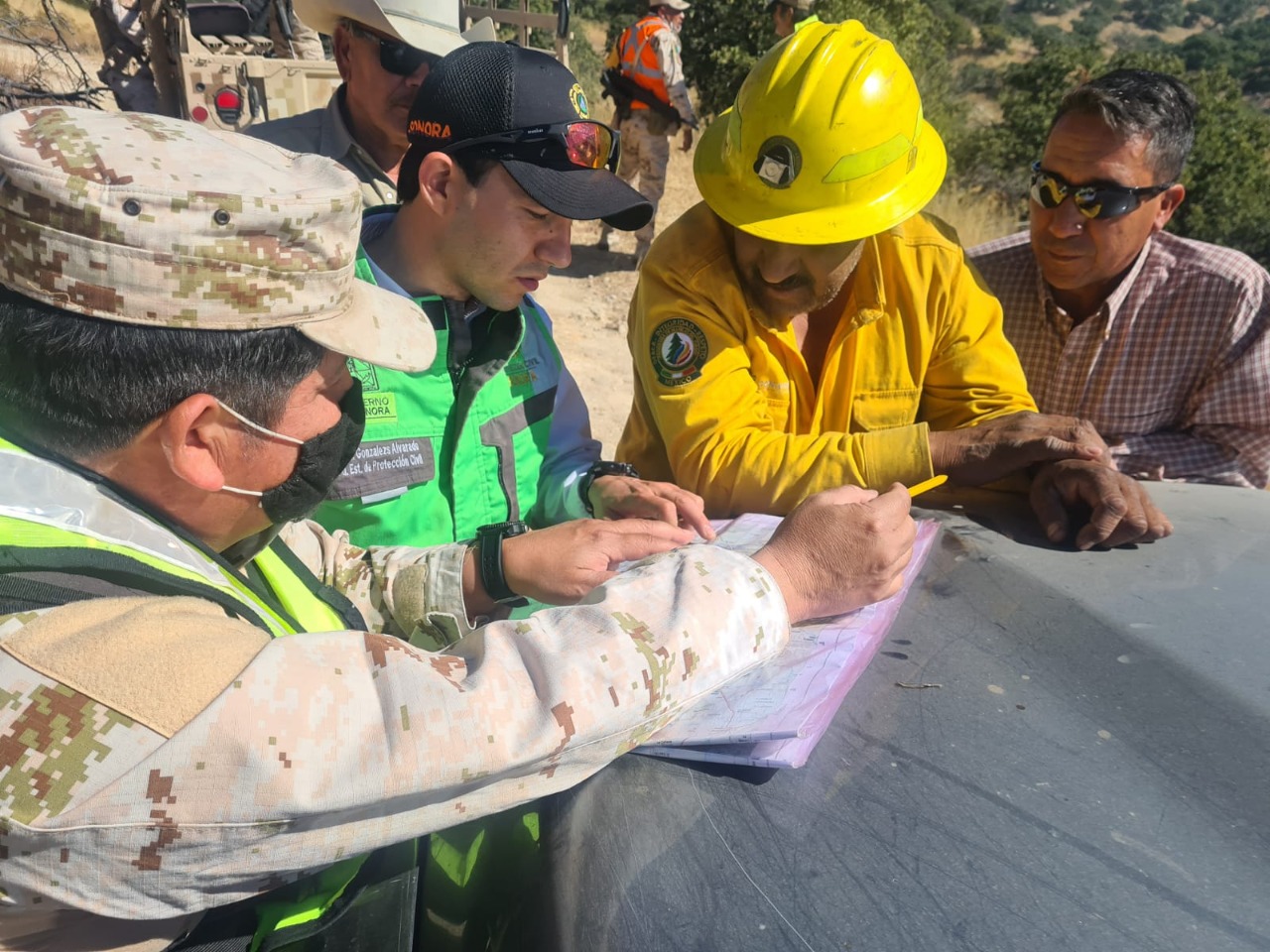 Liquidan incendio forestal de la sierra alta de Aconchi
