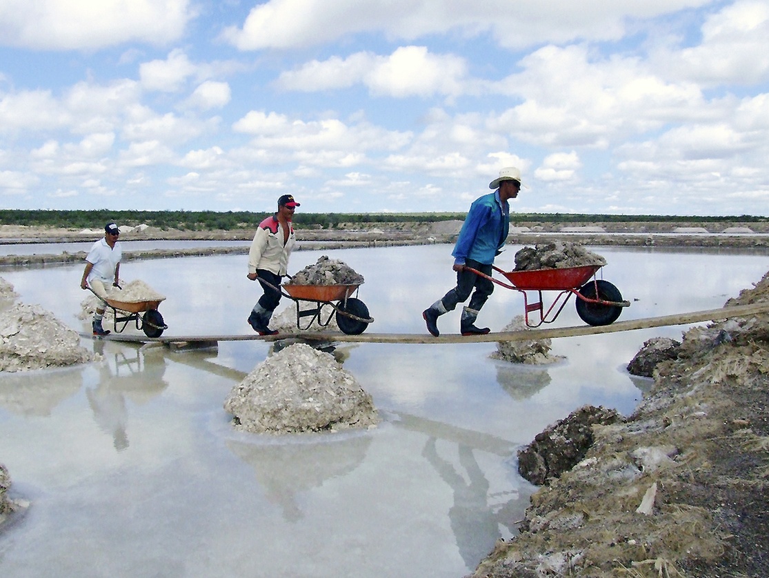 AMLO anuncia creación de empresa estatal para explotar litio