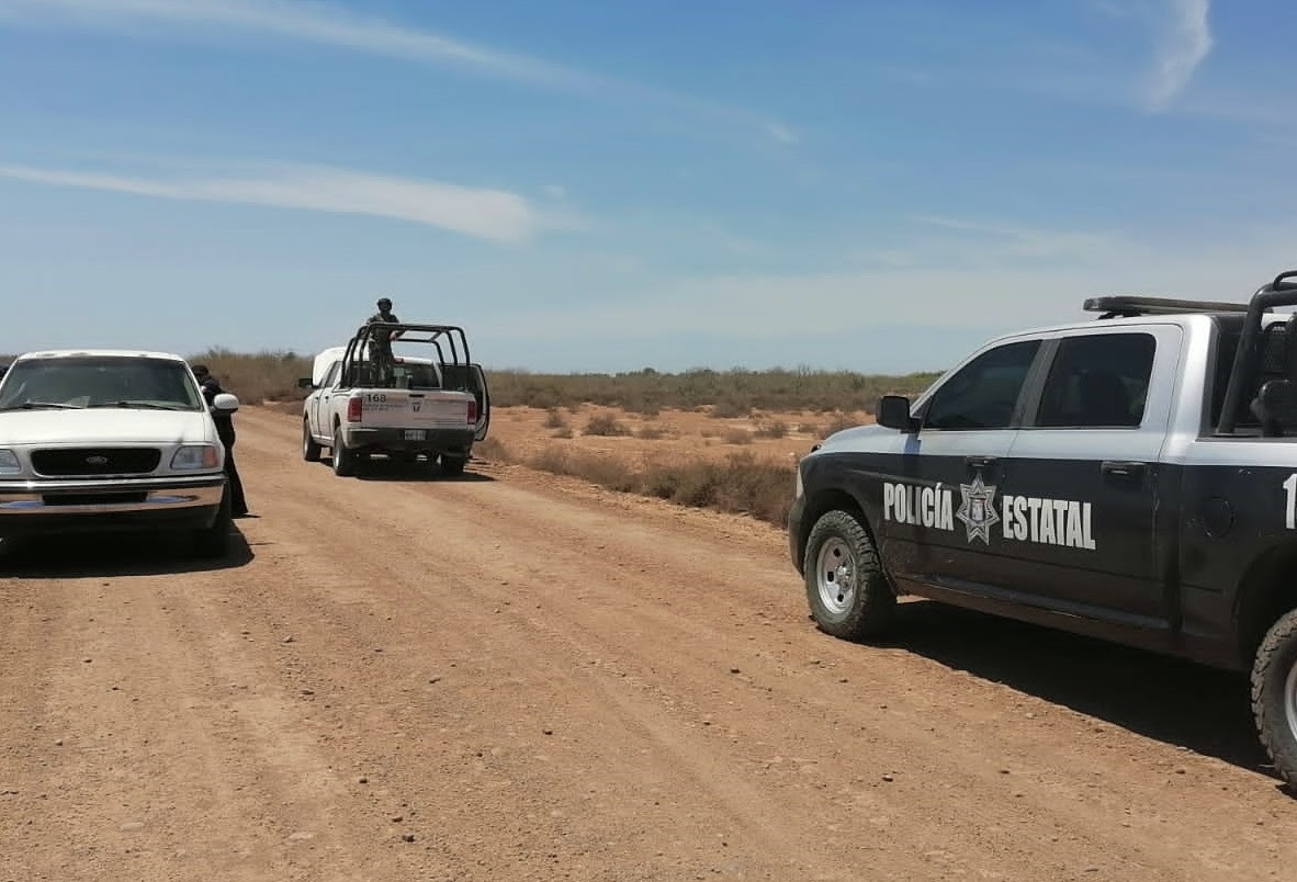 Marina y Policía Estatal aseguran especie en peligro de extinción en Etchojoa
