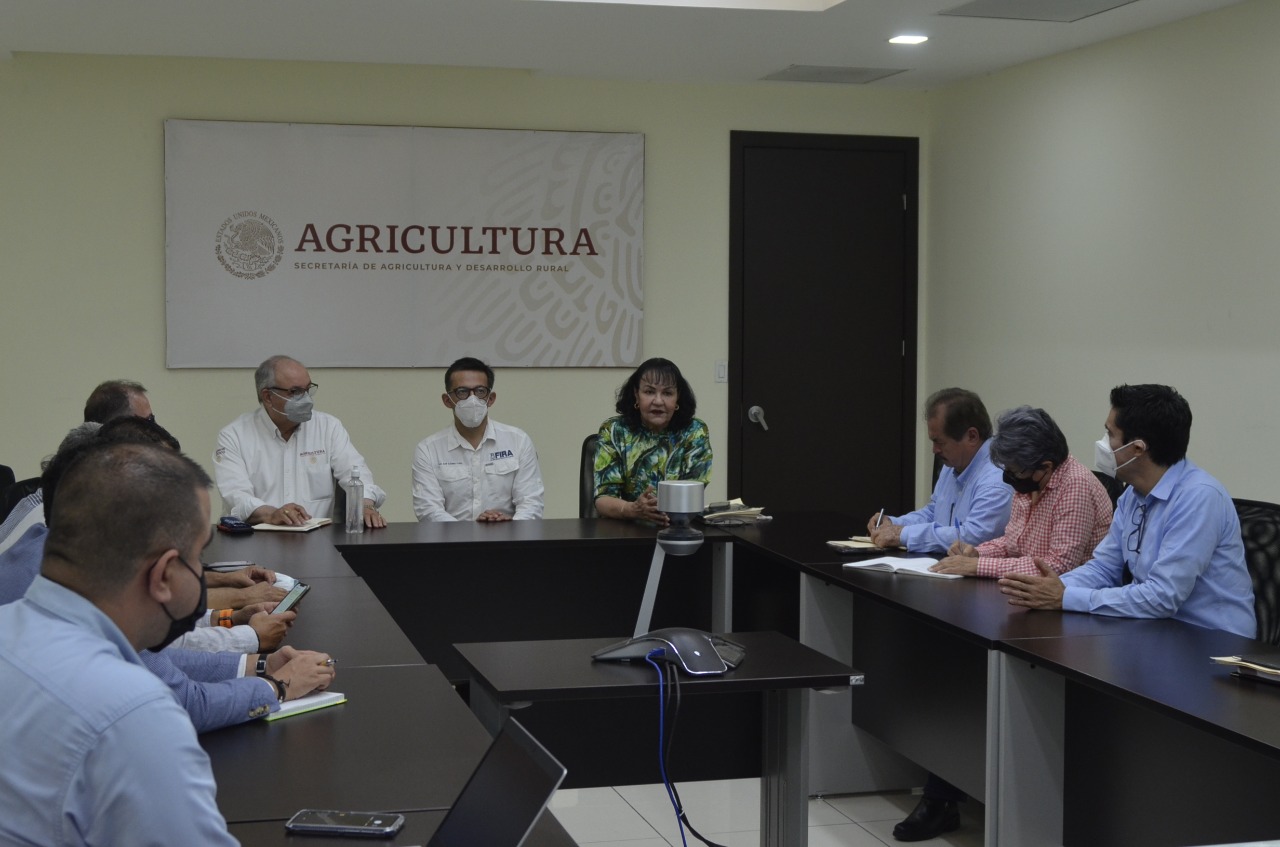 Hay Avance en Programa para el Financiamiento de Pequeños Productores: Secretaria de Agricultura y Agroson