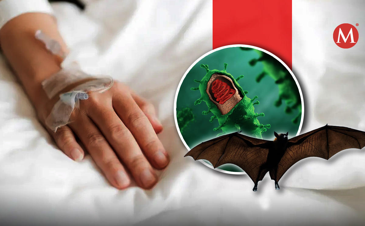 Alerta sanitaria en Oaxaca por tres posibles casos de rabia en menores