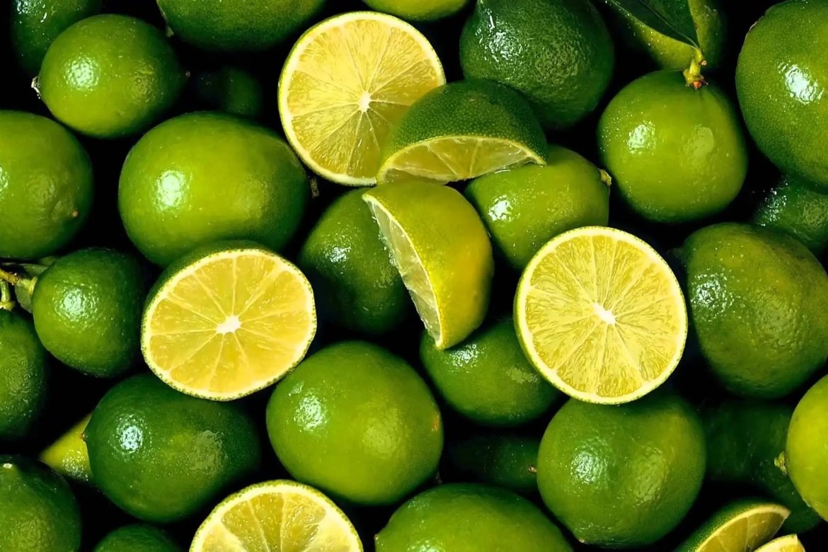 El Alza del Precio del Limón en México: Las Extorsiones del Crimen Organizado Impactan en el Bolsillo de los Consumidores