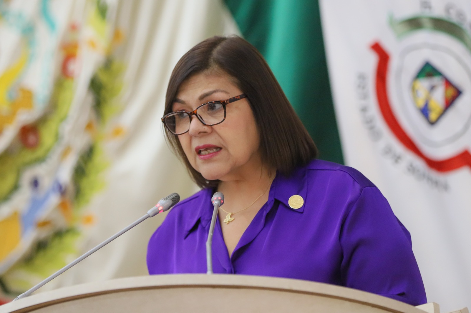 Congreso de Sonora aprueba protocolo Alerta Azul para localización de niñez autista extraviada Congreso de Sonora aprueba protocolo Alerta Azul para localización de niñez autista extraviada