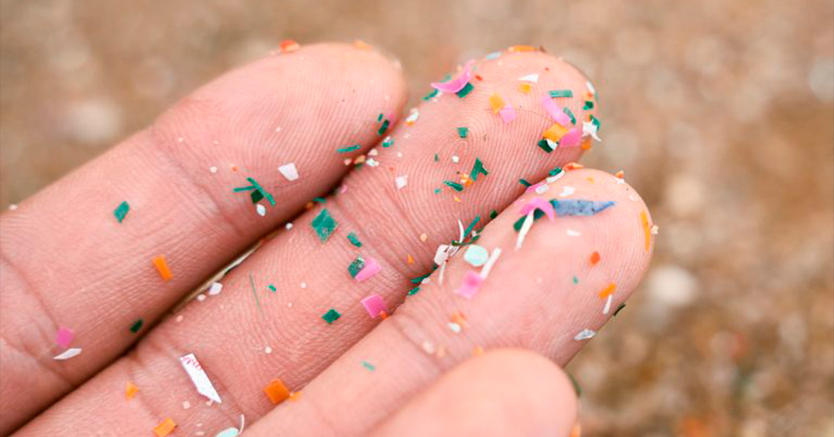 El nuevo cuerpo humano, ¿compuesto de átomos o microplásticos? El nuevo cuerpo humano, ¿compuesto de átomos o microplásticos?