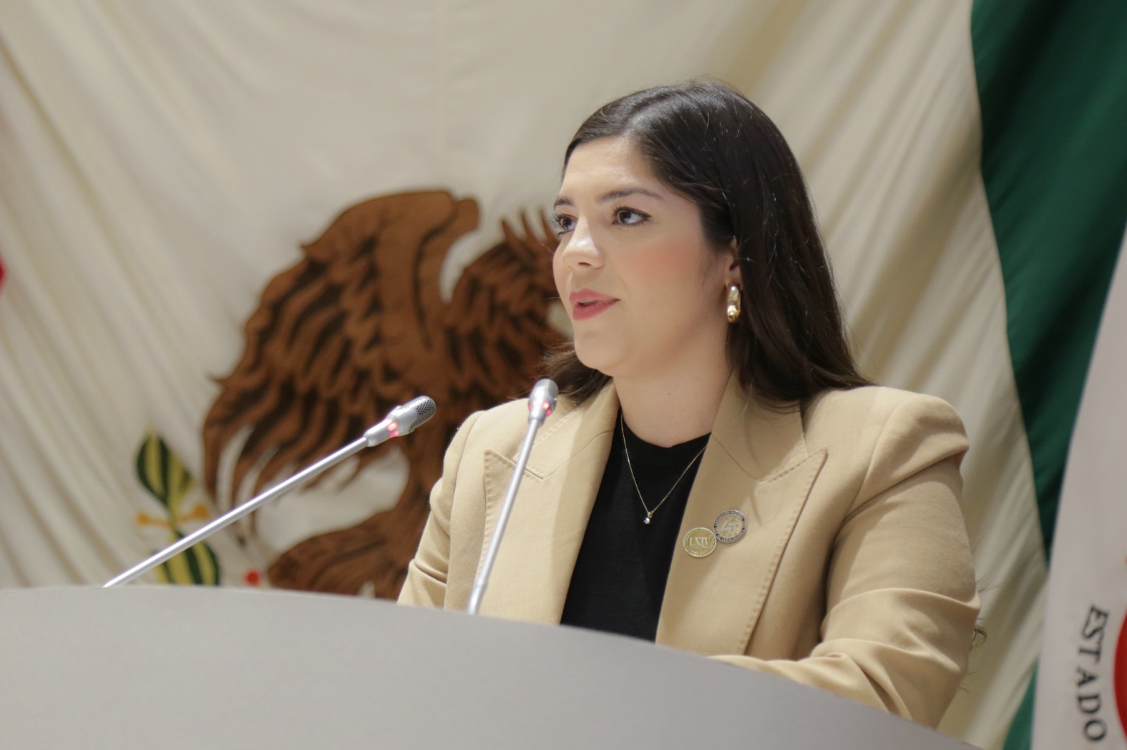 Aprueba Congreso de Sonora reforma constitucional a favor de las mujeres Aprueba Congreso de Sonora reforma constitucional a favor de las mujeres