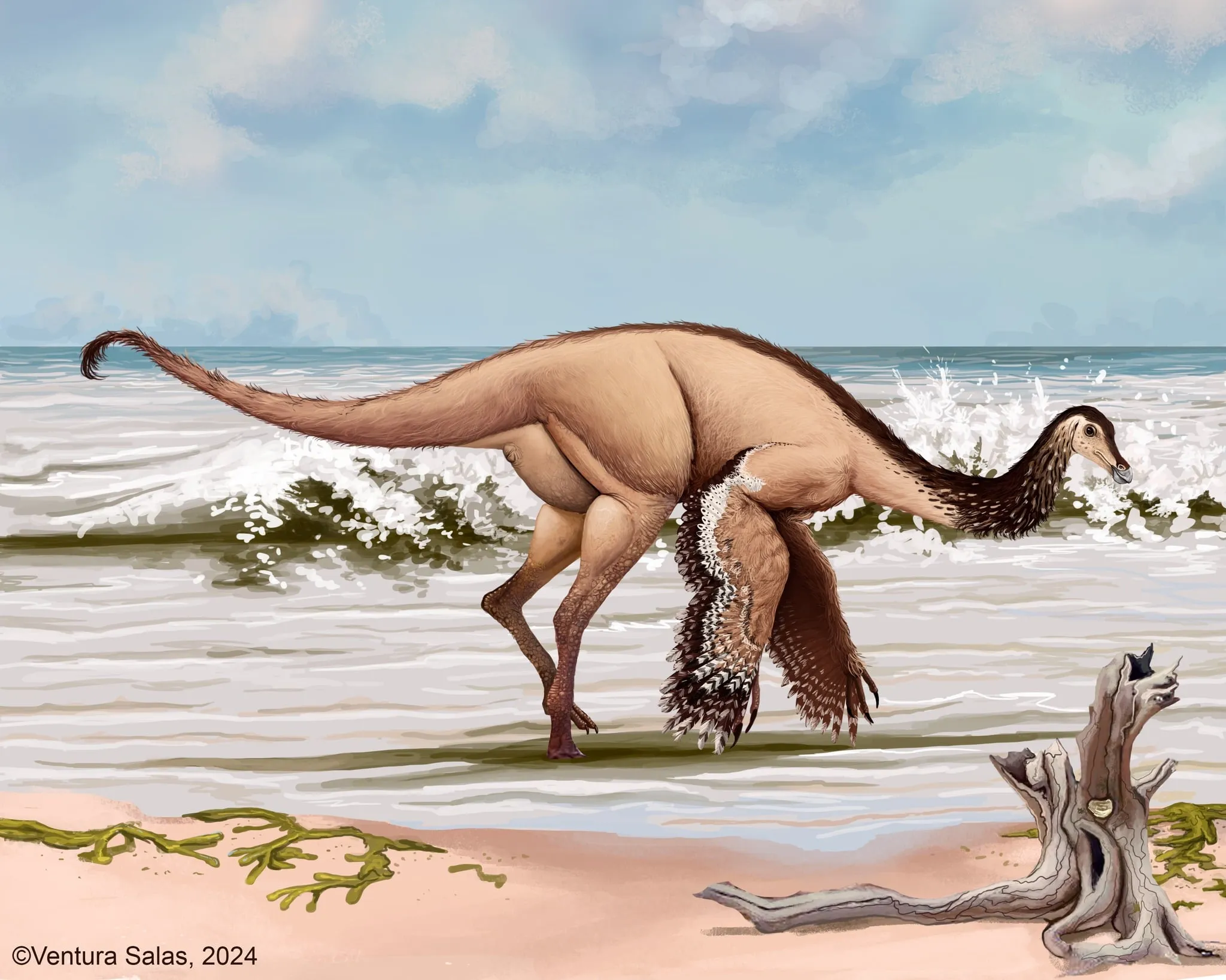 Nuevo dinosaurio similar a avestruz es encontrado en México Nuevo dinosaurio similar a avestruz es encontrado en México