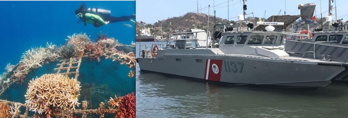 ESTAS LÍNEAS | Fortalece el turismo náutico el sistema de arrecifes artificiales ESTAS LÍNEAS | Fortalece el turismo náutico el sistema de arrecifes artificiales