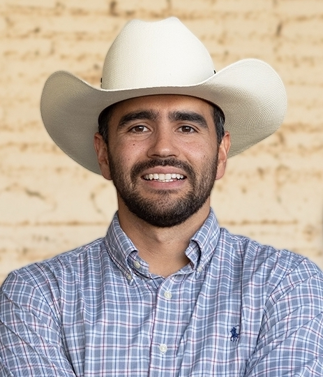 PILAR POLÍTICO | ¿En búsqueda de qué están los regidores de Navojoa? PILAR POLÍTICO | ¿En búsqueda de qué están los regidores de Navojoa?