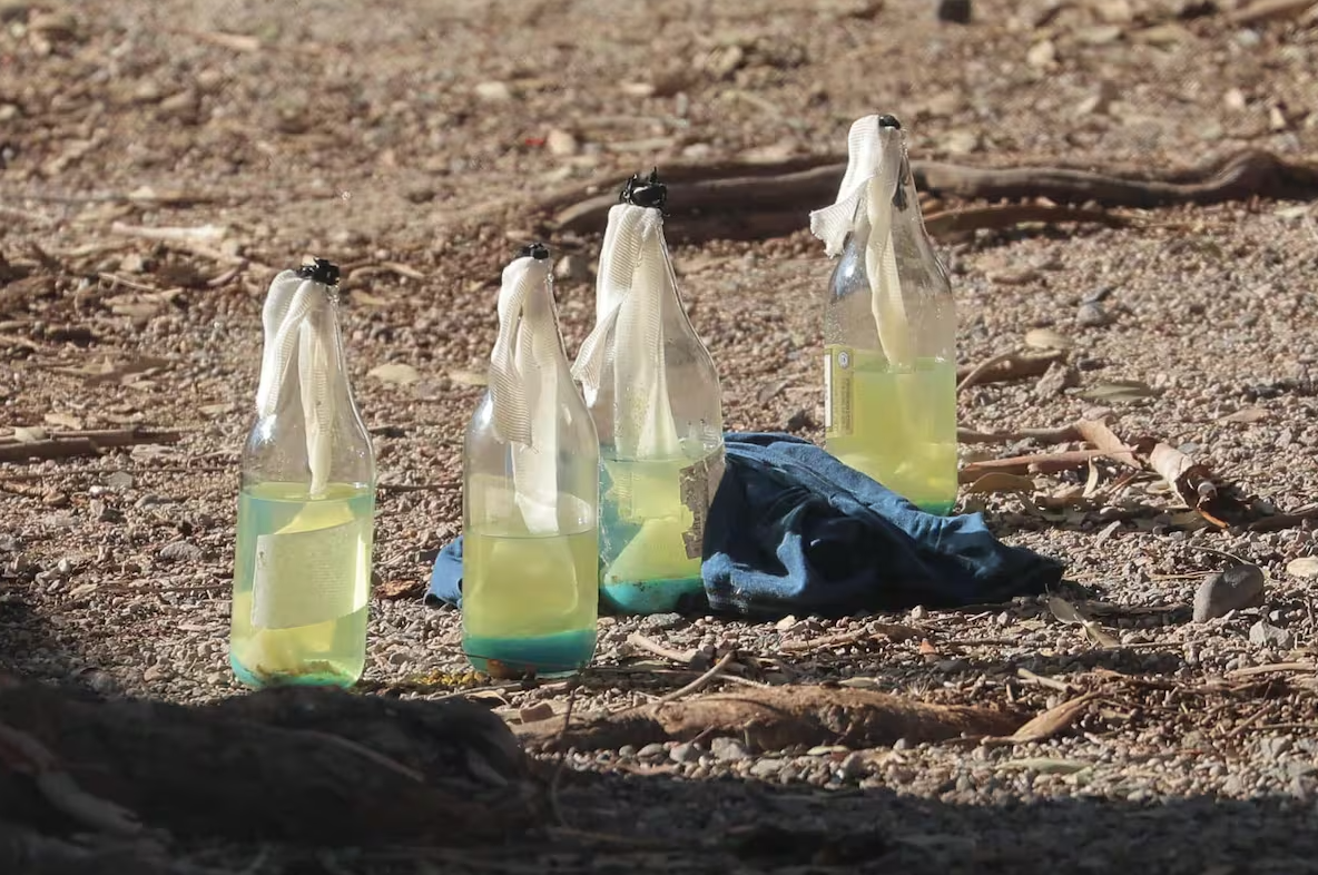 Suspenden clases en primaria de Hermosillo tras hallazgo de bombas molotov Suspenden clases en primaria de Hermosillo tras hallazgo de bombas molotov