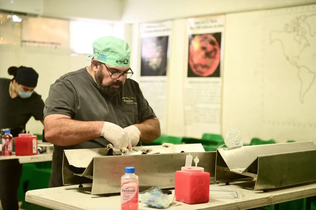 Primera Clínica Animal lista a fin de año