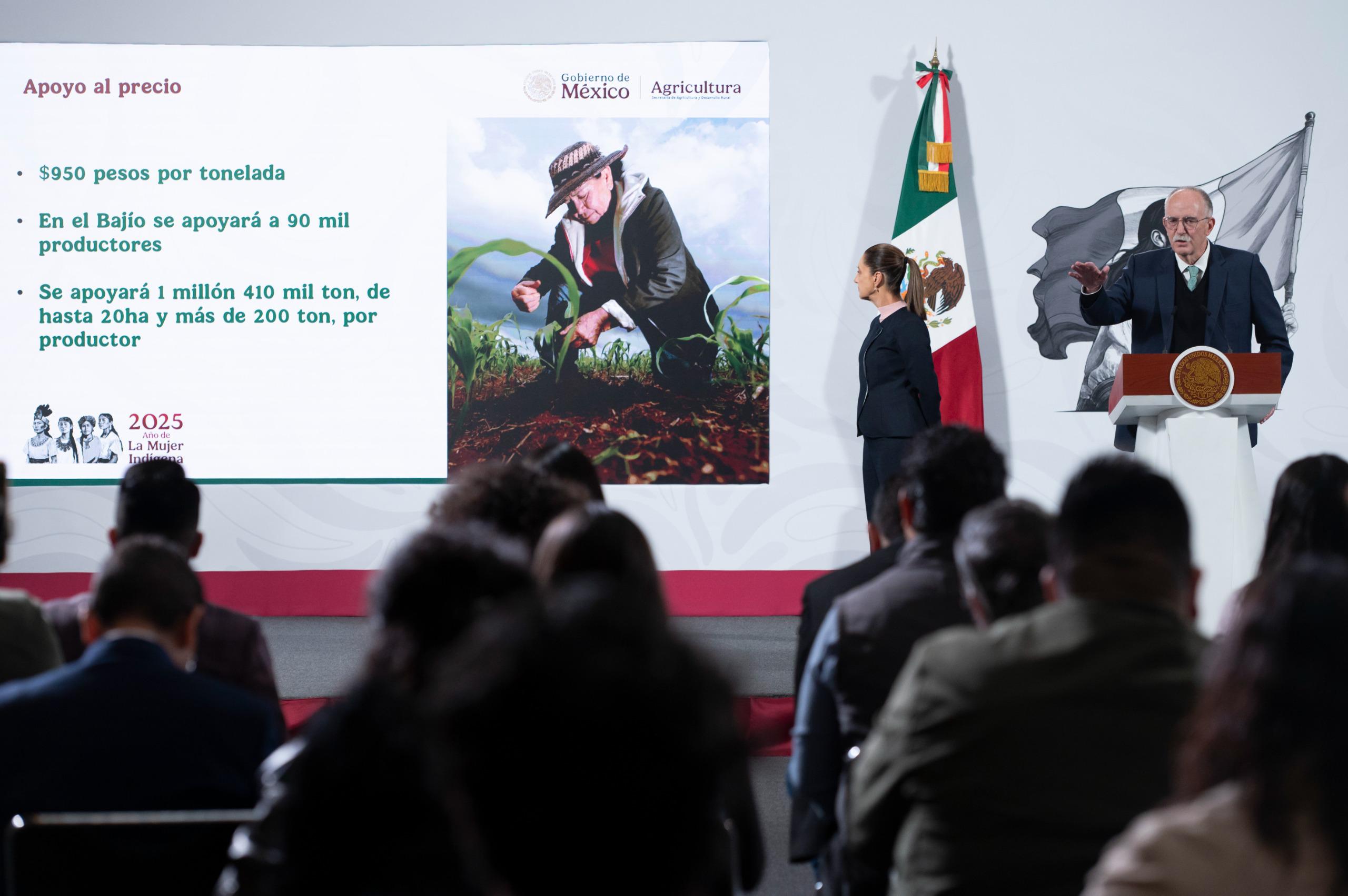 Gobierno de México llega a acuerdo con productores de maíz; se entregará un apoyo de de 950 pesos por tonelada Gobierno de México llega a acuerdo con productores de maíz; se entregará un apoyo de de 950 pesos por tonelada