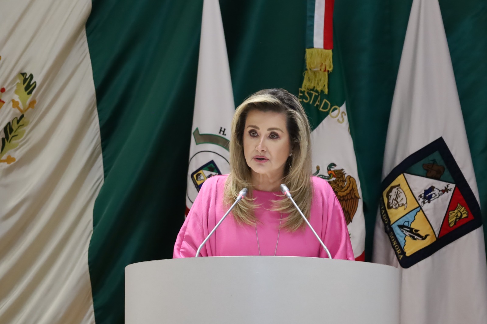 Iniciativa en vivienda busca garantizar equidad y bienestar social en Sonora: Ely Sallard