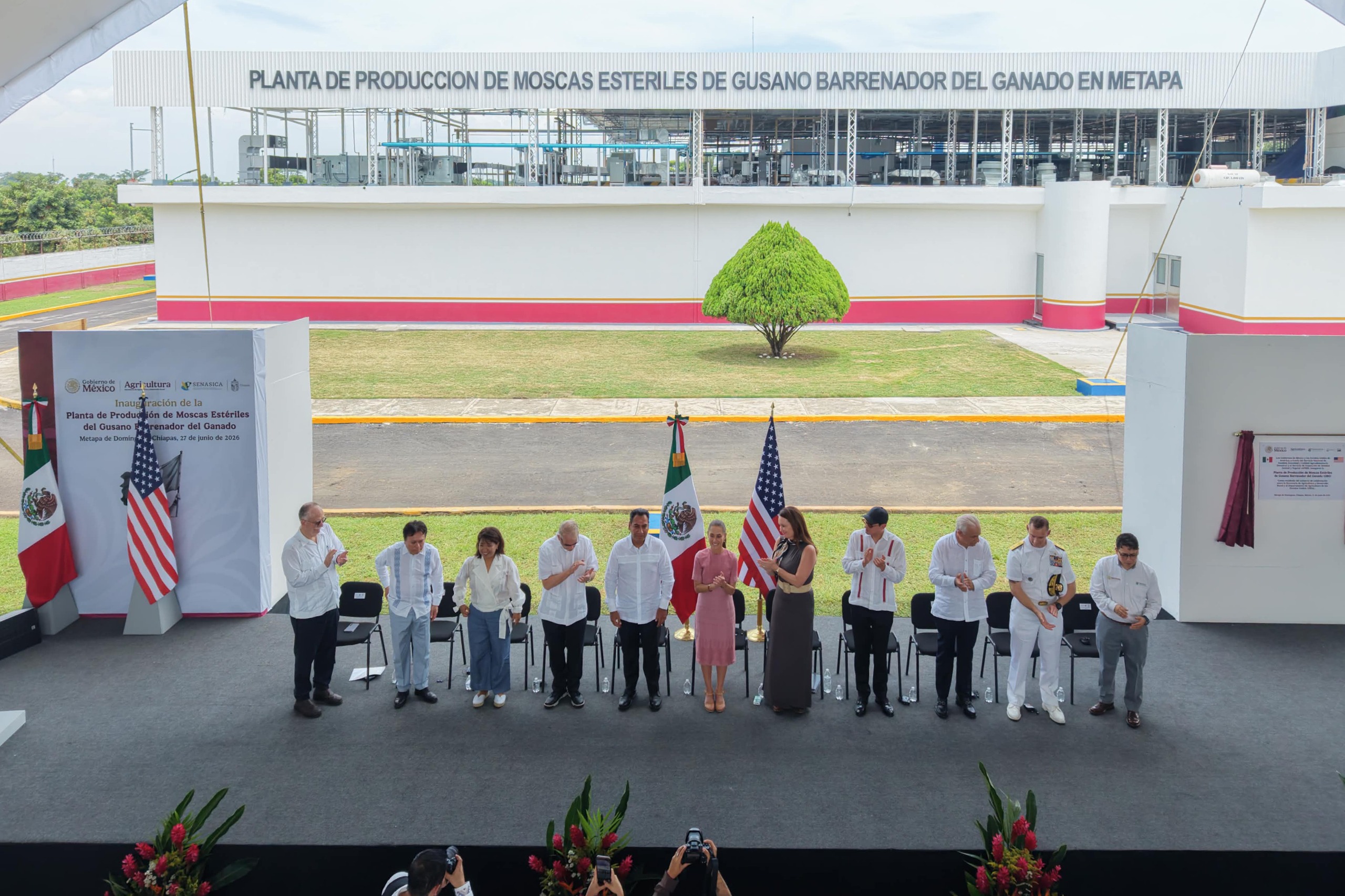 Sheinbaum inaugura planta para combatir el gusano barrenador del ganado | Producirá 100 millones de moscas estériles por semana