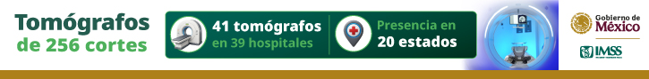 Banner IMSS