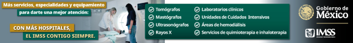 Banner IMSS