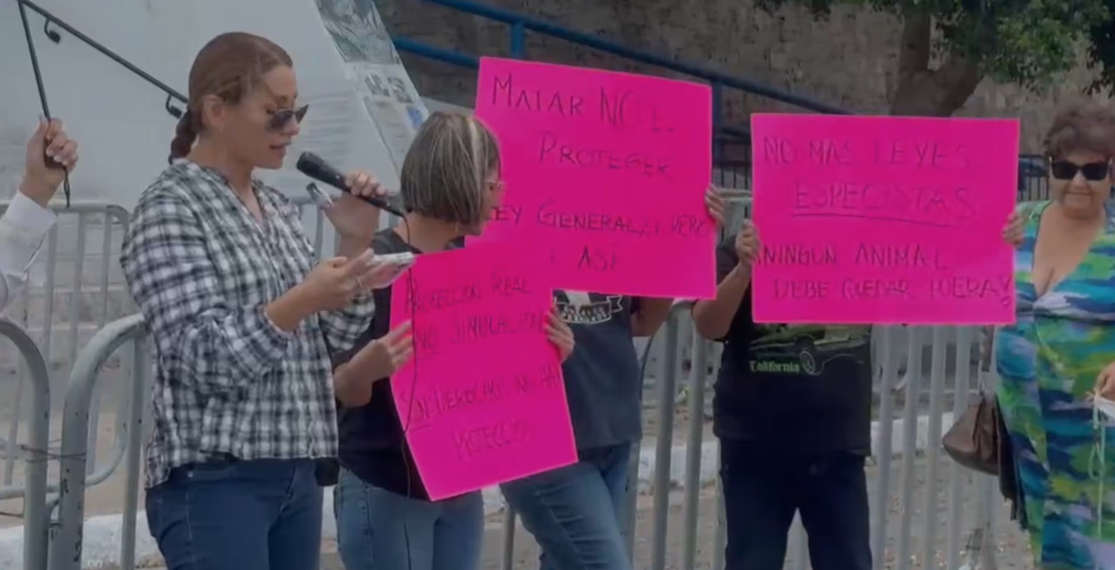 Activistas en Sonora se manifiestan contra la Ley de Bienestar Animal