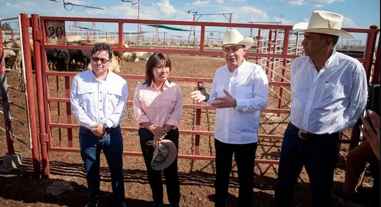 Sonora se prepara para reanudar exportación de ganado por Agua Prieta