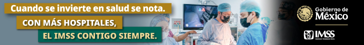 Banner IMSS