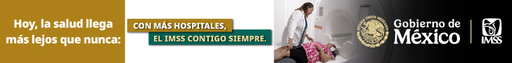 Banner IMSS