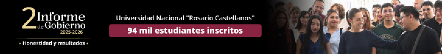 Banner IMSS