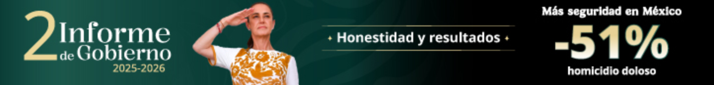 Banner IMSS