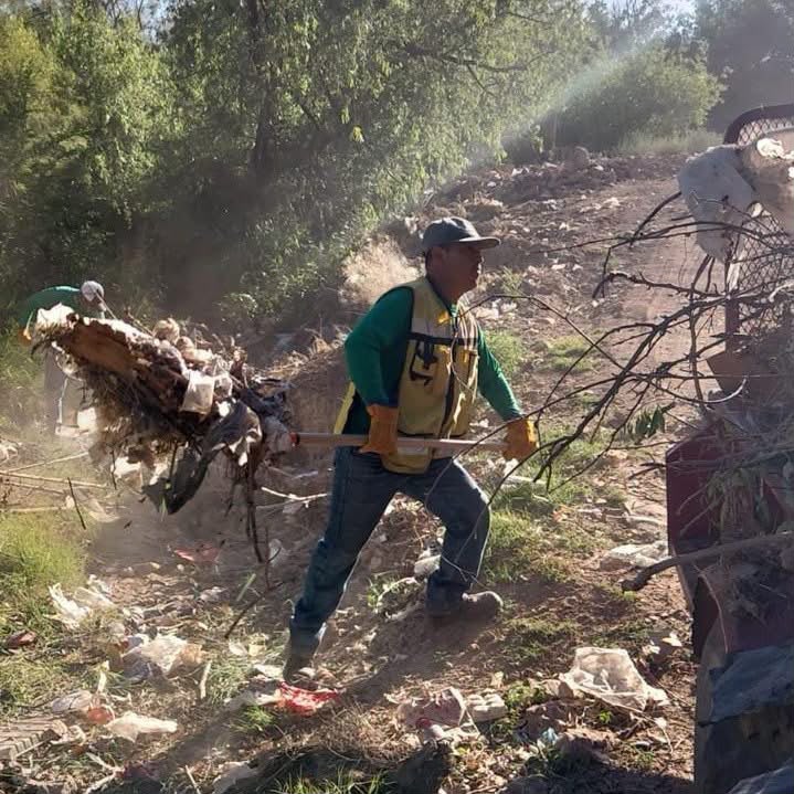 Intensifica Gobierno de Agua Prieta limpieza de arroyos ante temporada de lluvias