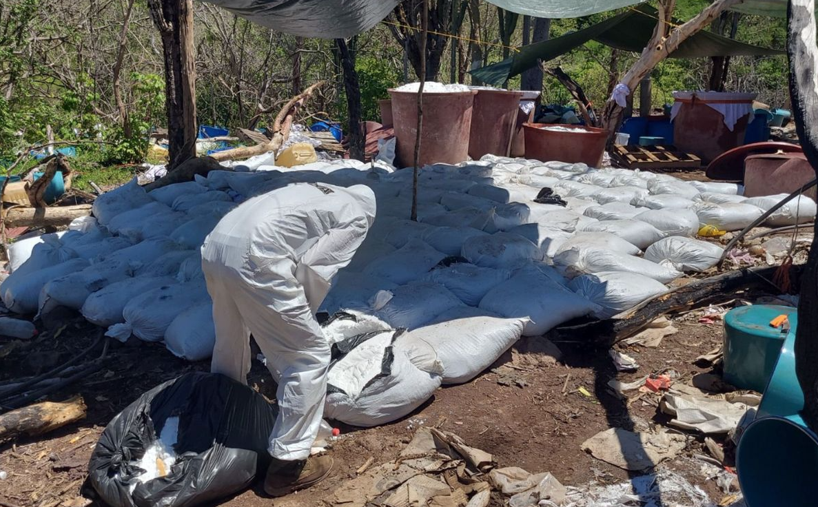Aseguran más de 16 toneladas de metanfetamina en Sinaloa; desmantelan tres laboratorios clandestinos Aseguran más de 16 toneladas de metanfetamina en Sinaloa; desmantelan tres laboratorios clandestinos