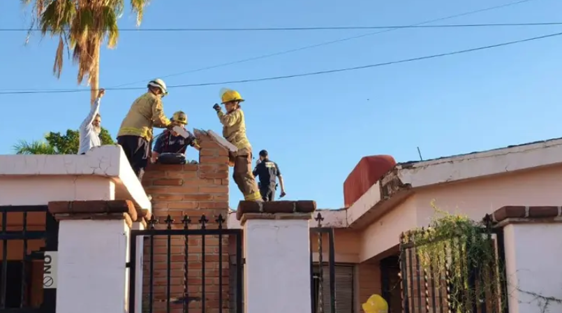 Hombre queda atrapado dos días en chimenea; planeaba robar la casa Hombre queda atrapado dos días en chimenea; planeaba robar la casa
