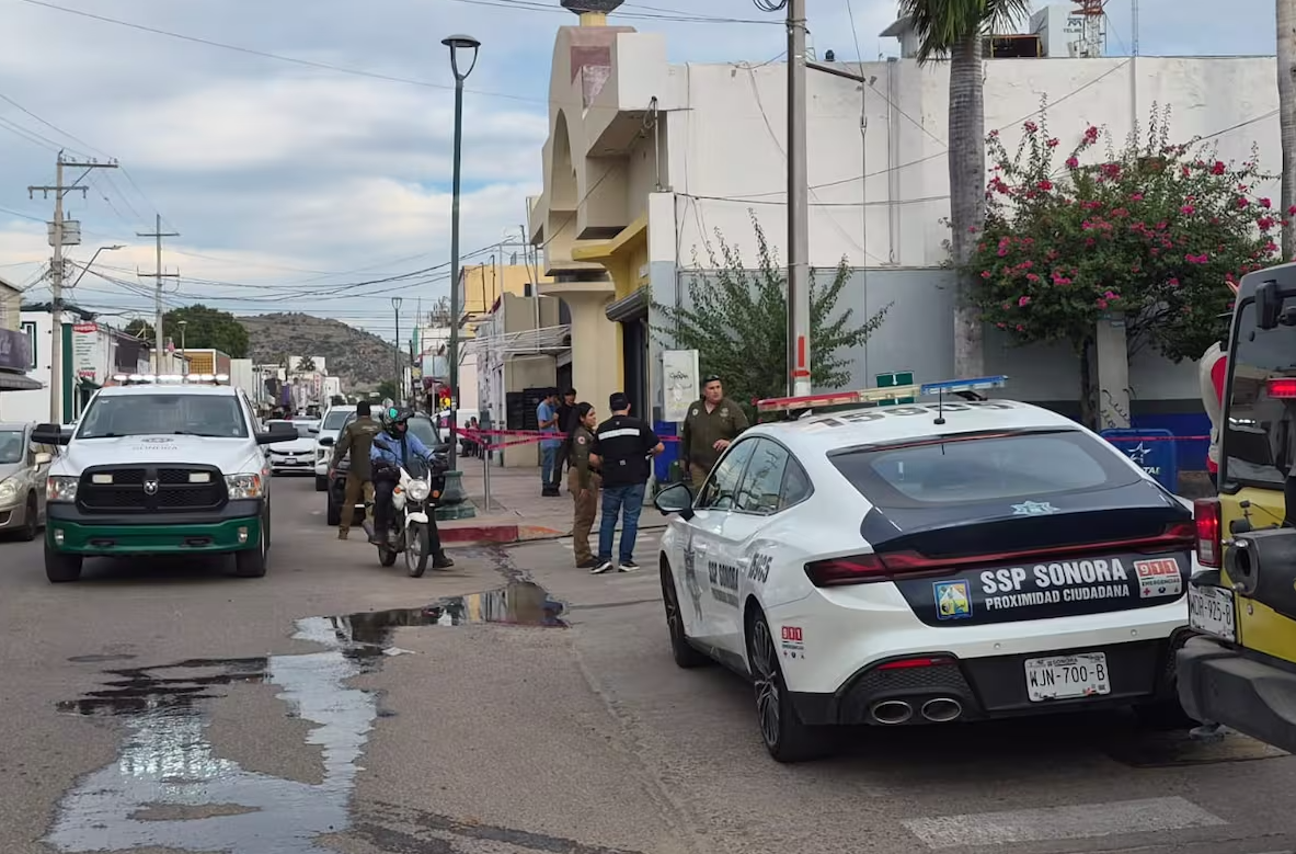 Rama de una palma provoca explosión de un transformador de la CFE y deja sin luz al Centro de Hermosillo