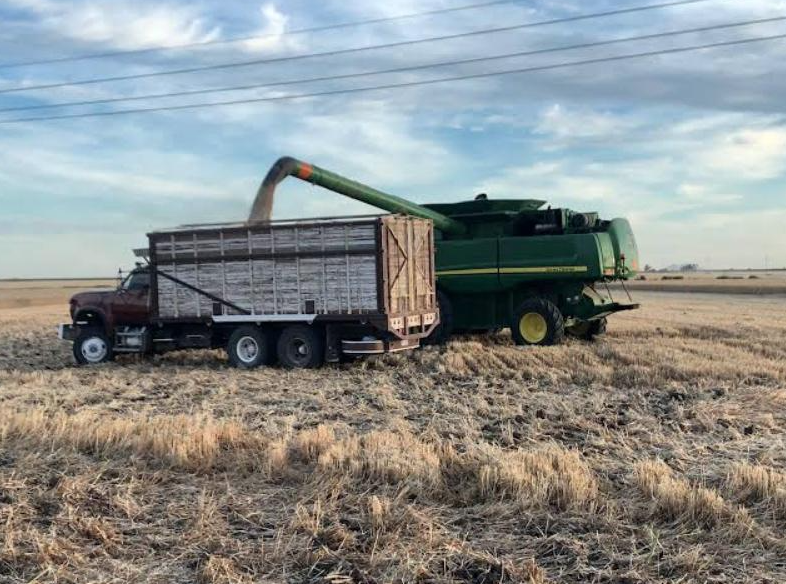 Productores del Fuerte Mayo reclaman apoyos y alertan por crisis del campo