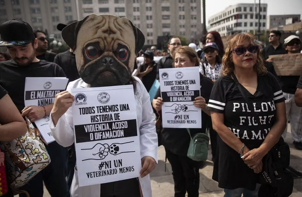 Veterinario del Estado de México es asesinado al interior de su clínica; gremio exige justicia Veterinario del Estado de México es asesinado al interior de su clínica; gremio exige justicia
