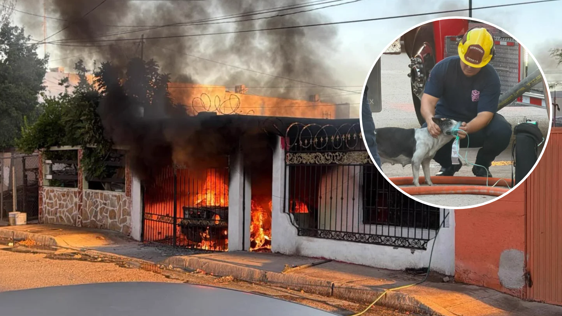 Incendio consume auto en una cochera de Hermosillo; rescatan a una persona y un perro